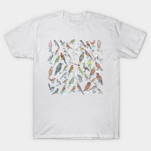 Collection of South Australian Birds T-Shirt